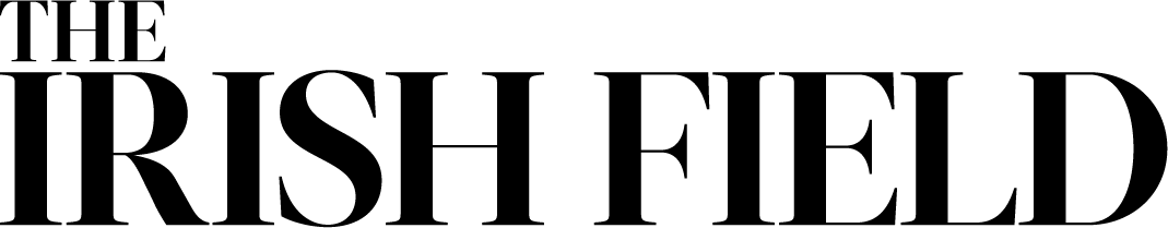 The Irish Field Logo