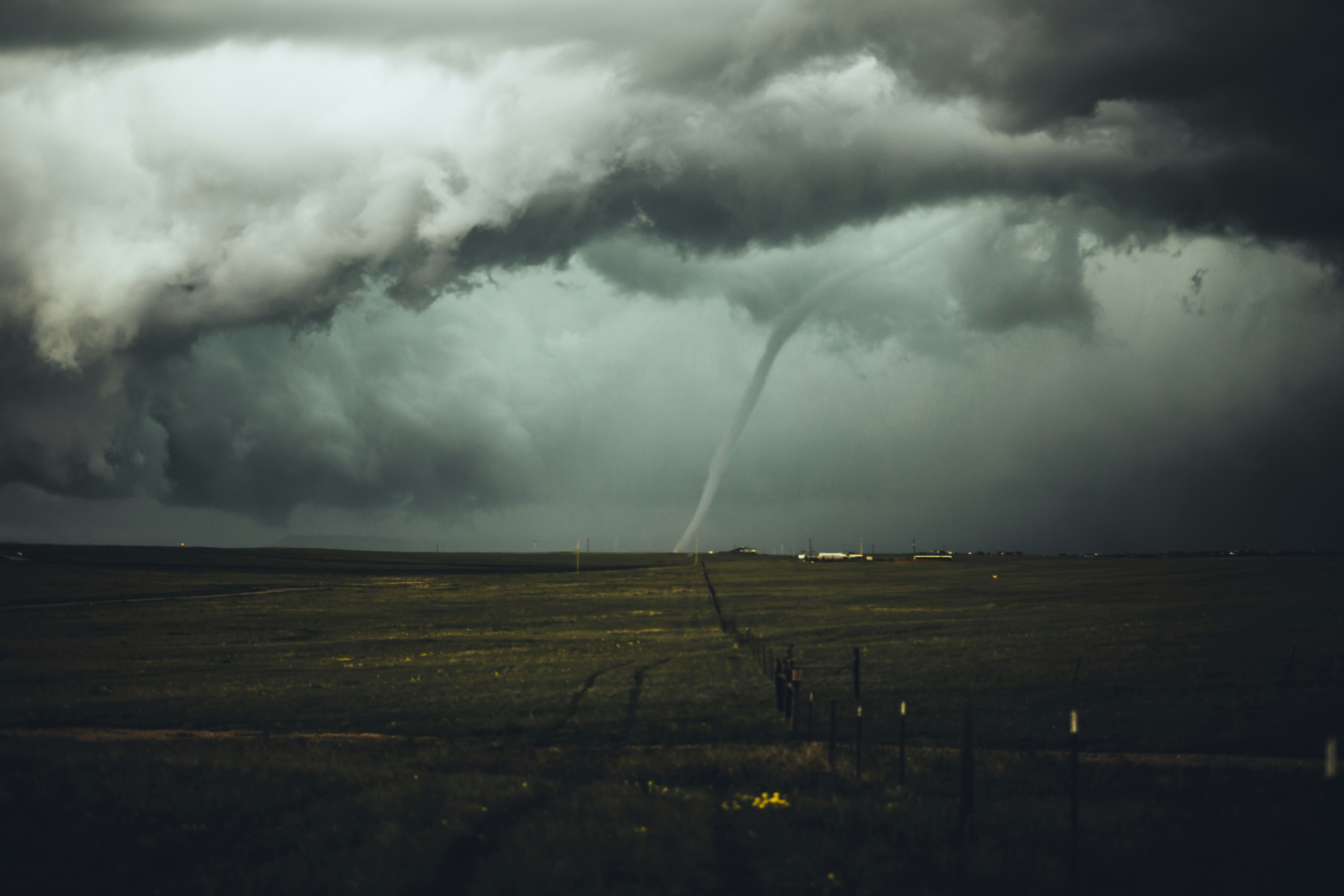 Downed trees and emergency crews after the tornado in St. Louis